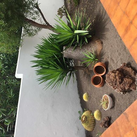 Apartamento Con Jardin Y Piscina B Puerto de la Cruz  Exterior foto