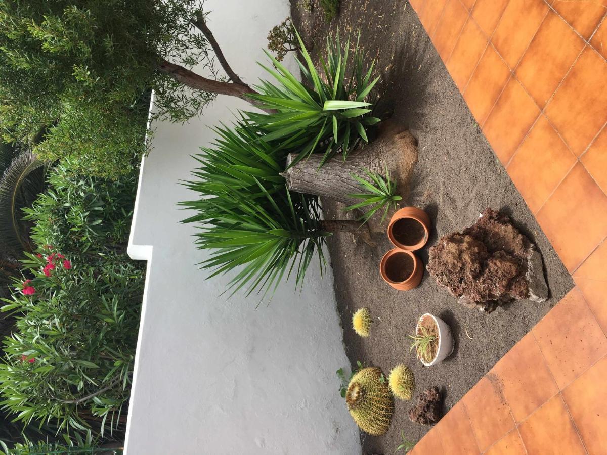 Apartamento Con Jardin Y Piscina B Puerto de la Cruz  Exterior foto